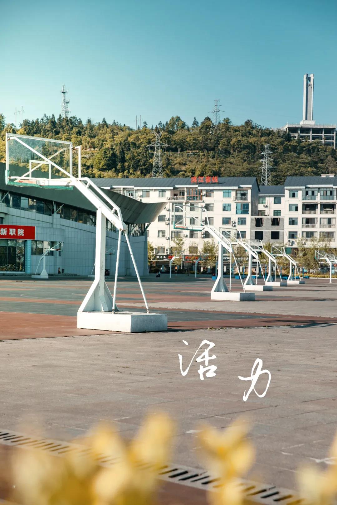 环境优美